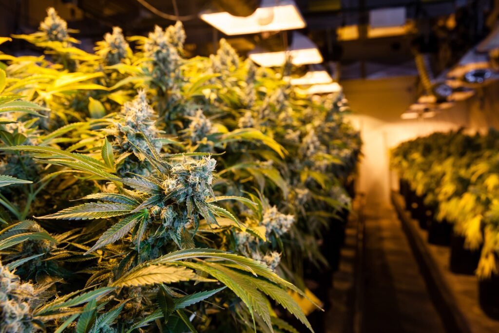 Nederland drugsland