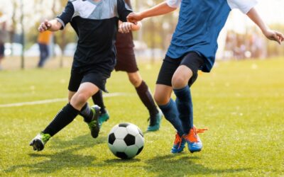 Effectief sportveldbeheer