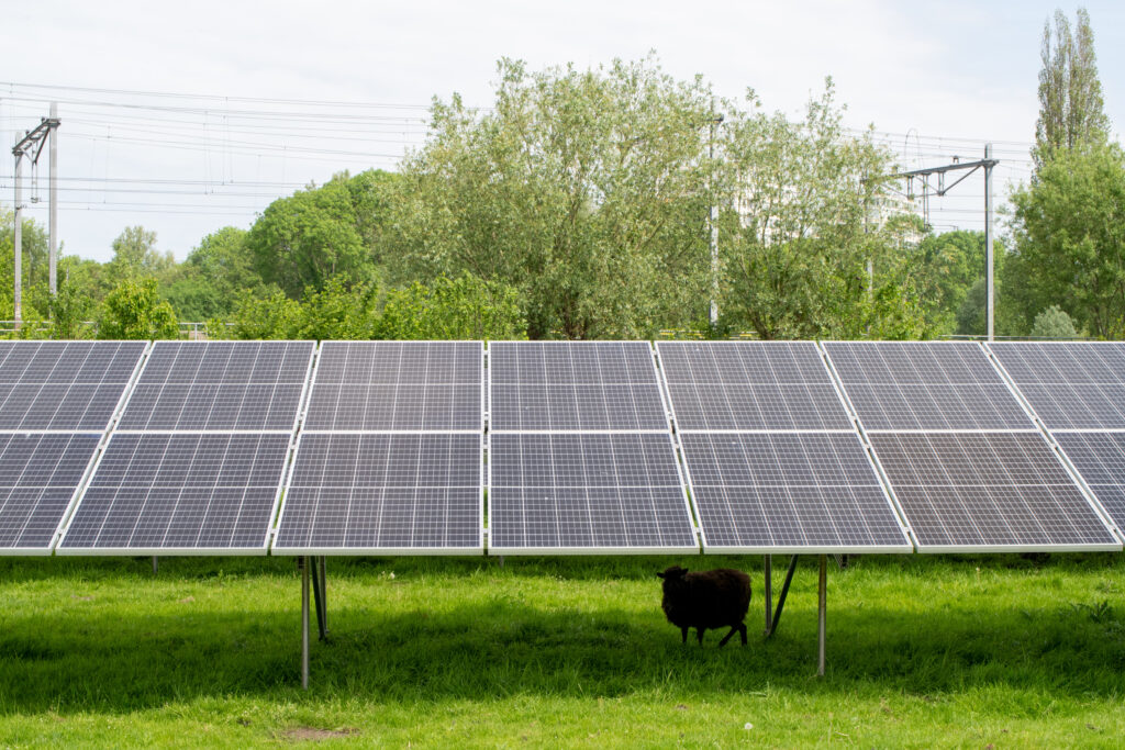 Zonnepanelen