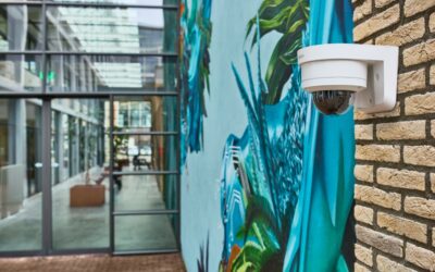 AVG, privacy en uw cameratoezicht